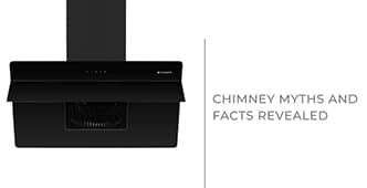 Chimney Myths and Facts Revealed